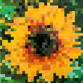 Tournesol par Joséphine Machalani